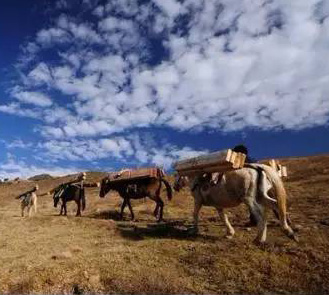 西藏自治区茶马古道旅游发展专项规划