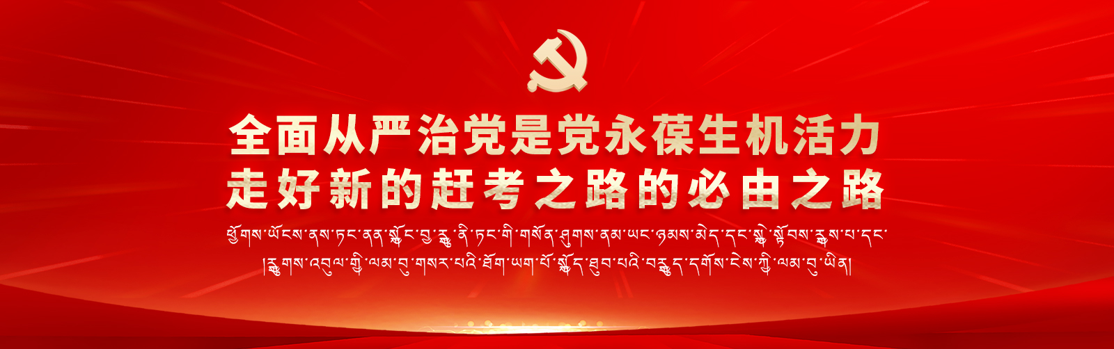 党的二十大精神宣传标语