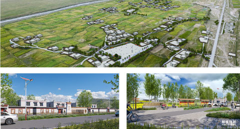 山南市浪卡子县 乡村振兴系列项目