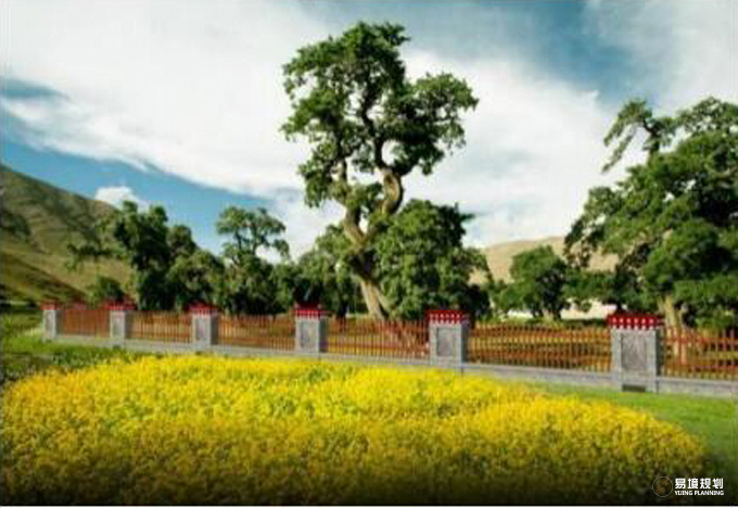 1757400530528086.jpg 1757400530528086.jpg